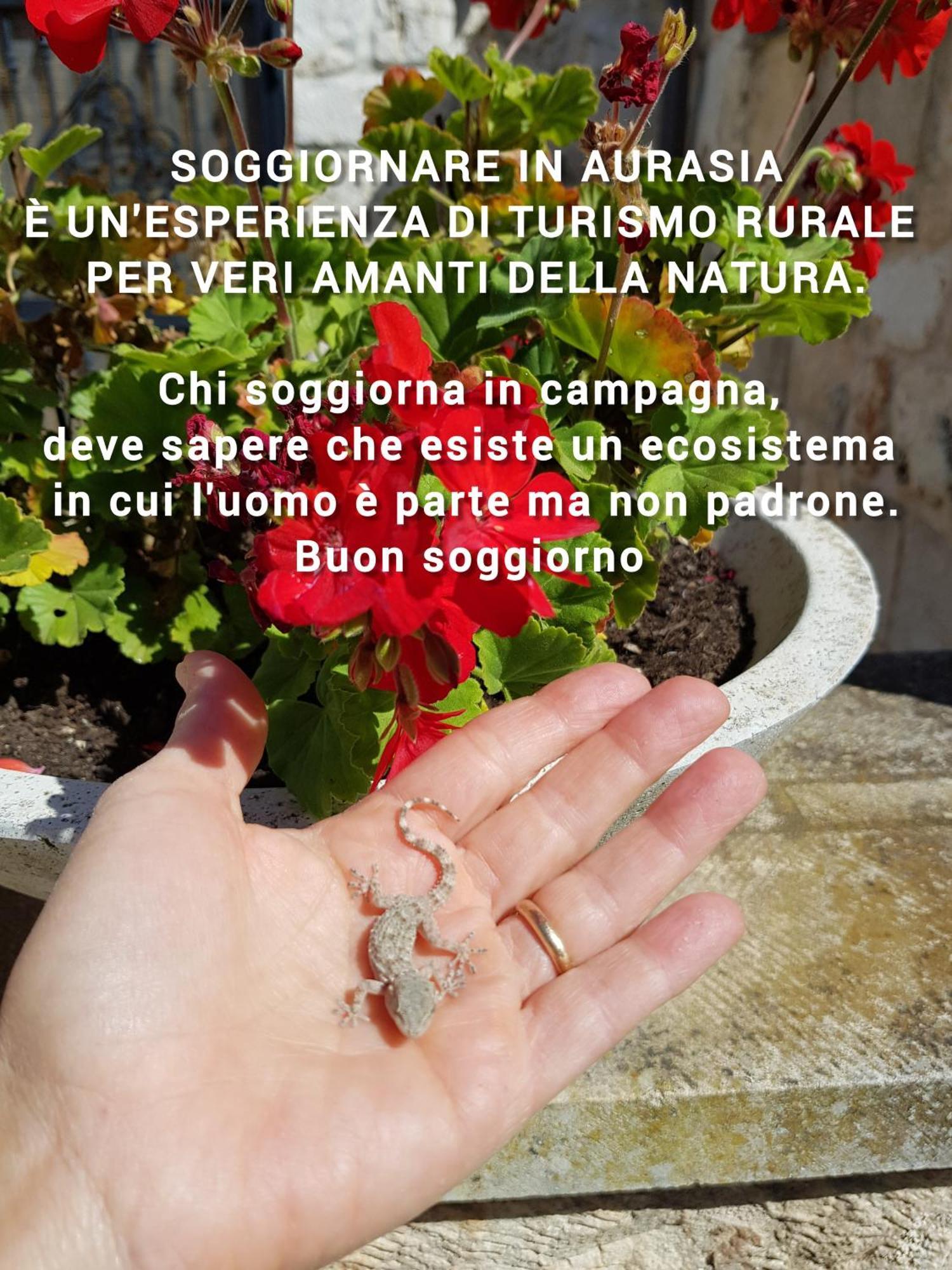 Trulli Aurasia オストゥーニ エクステリア 写真