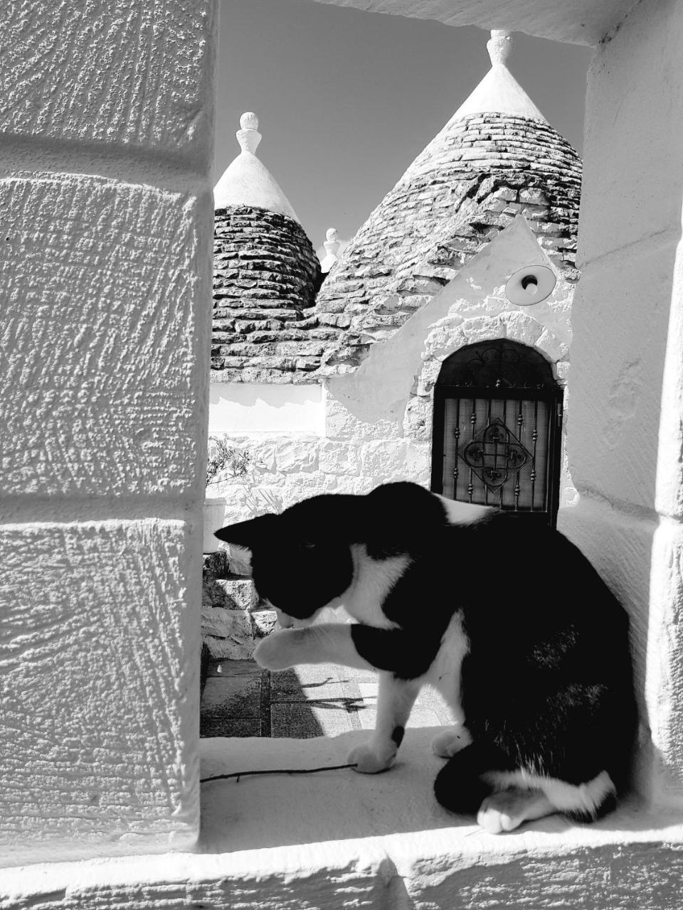 Trulli Aurasia オストゥーニ エクステリア 写真
